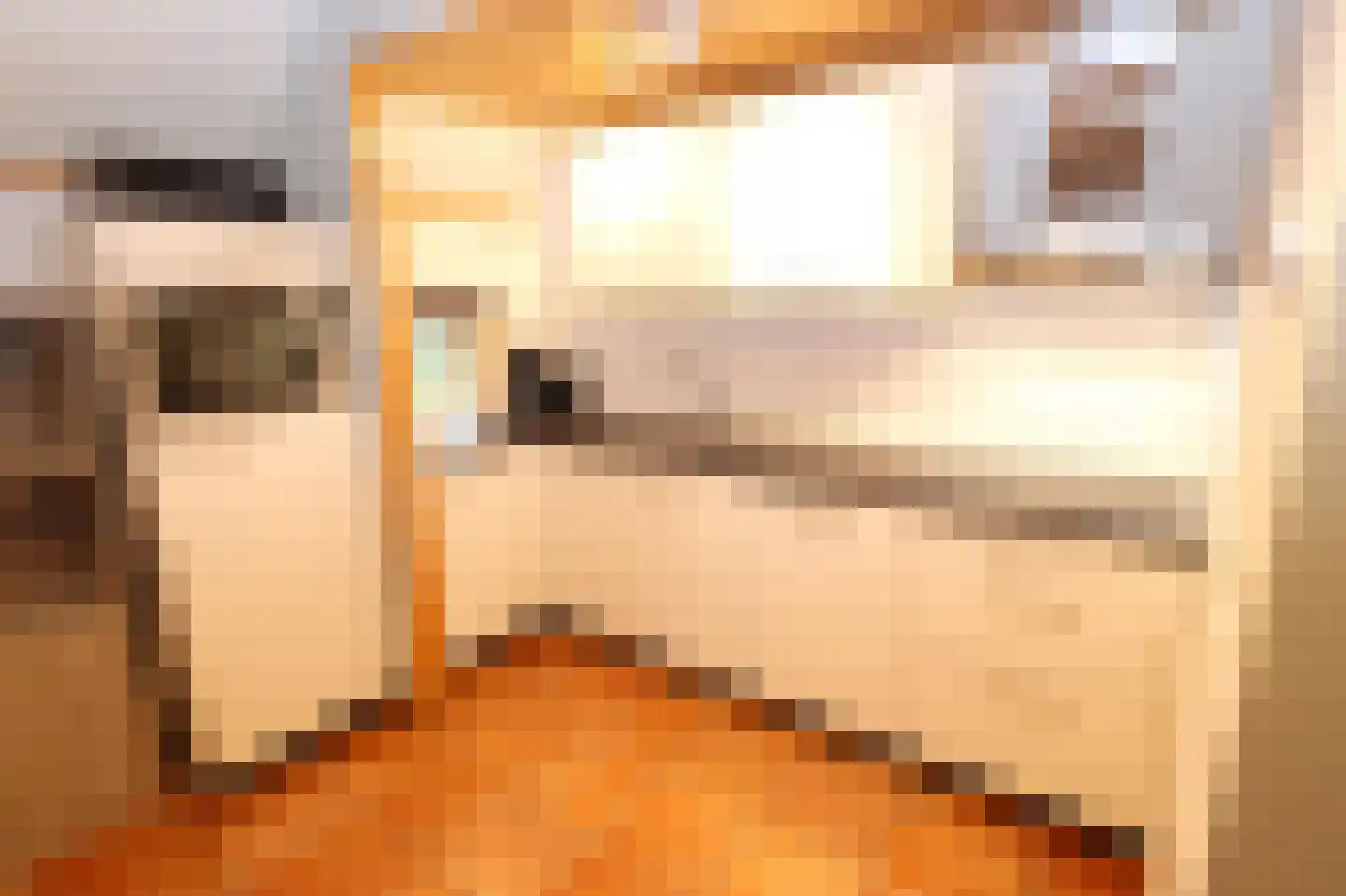 Tunnelweg 7 110 Haarle thumbnail 12