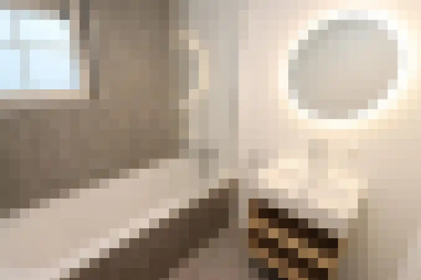 Tunnelweg 7 110 Haarle thumbnail 13