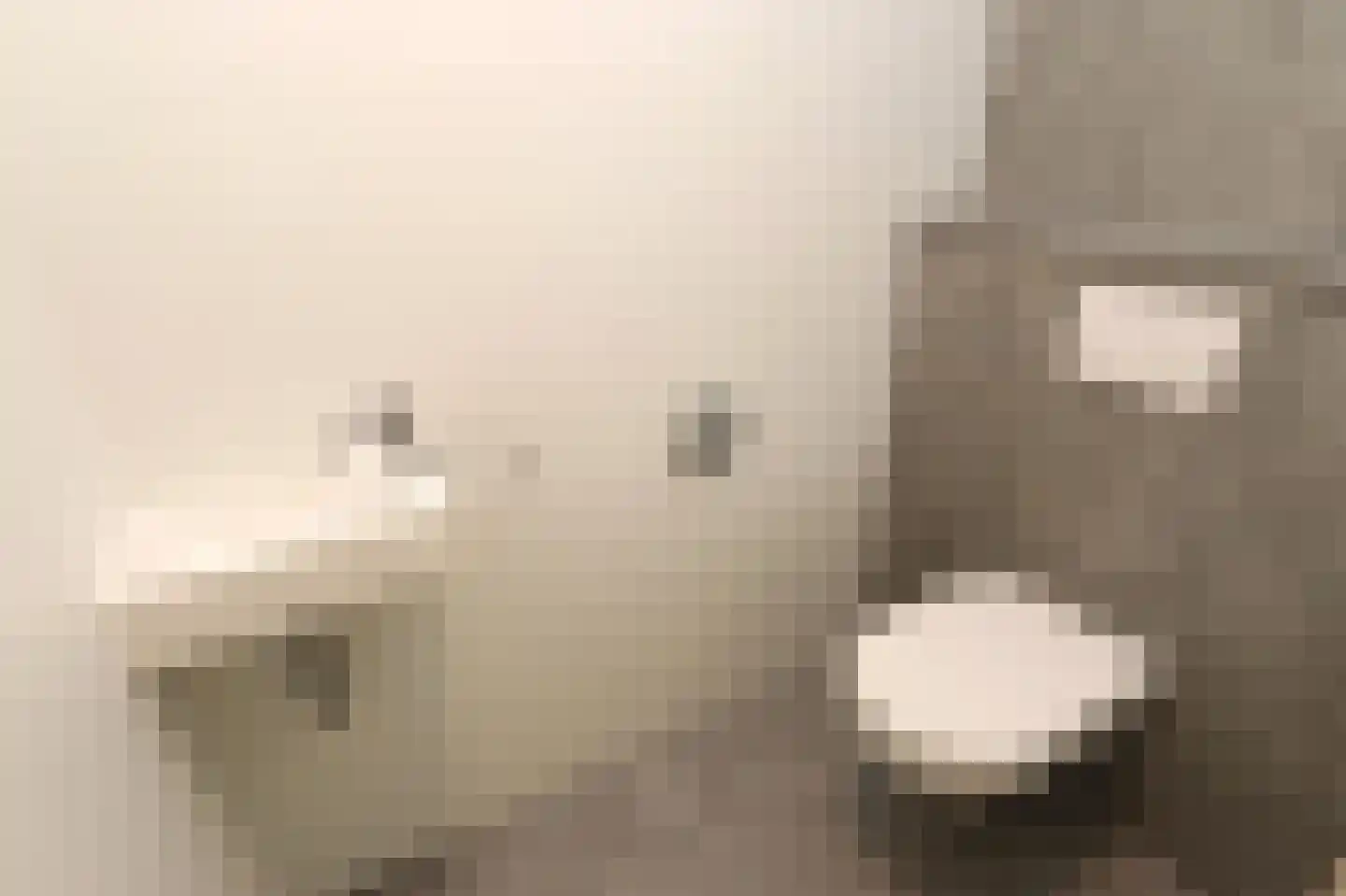 Tunnelweg 7 110 Haarle thumbnail 14