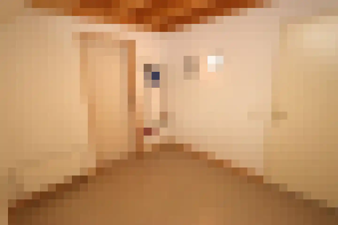 Tunnelweg 7 110 Haarle thumbnail 15