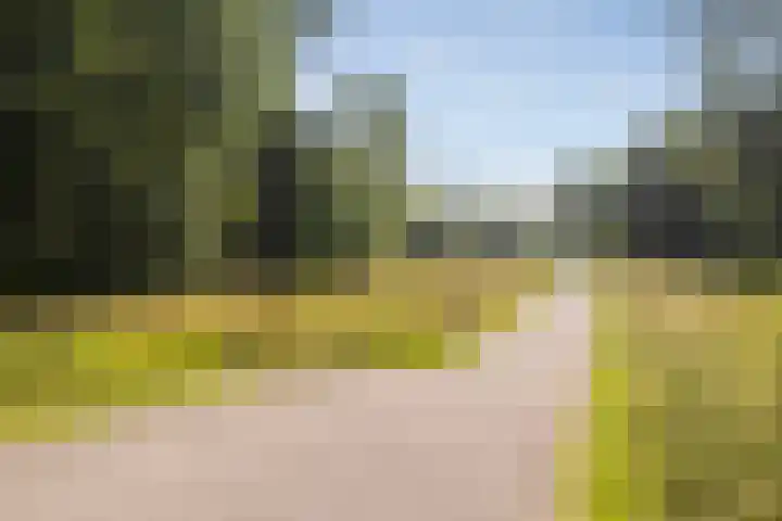 Tunnelweg 7 110 Haarle thumbnail 19