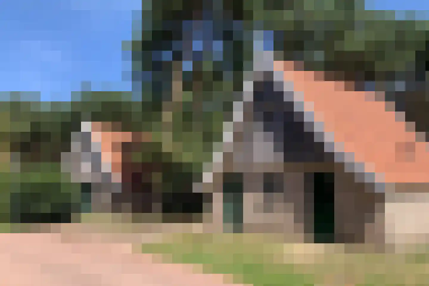 Tunnelweg 7 110 Haarle thumbnail 4