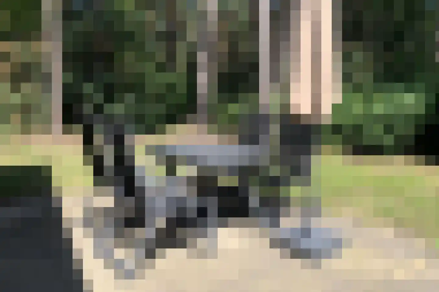 Tunnelweg 7 110 Haarle thumbnail 5