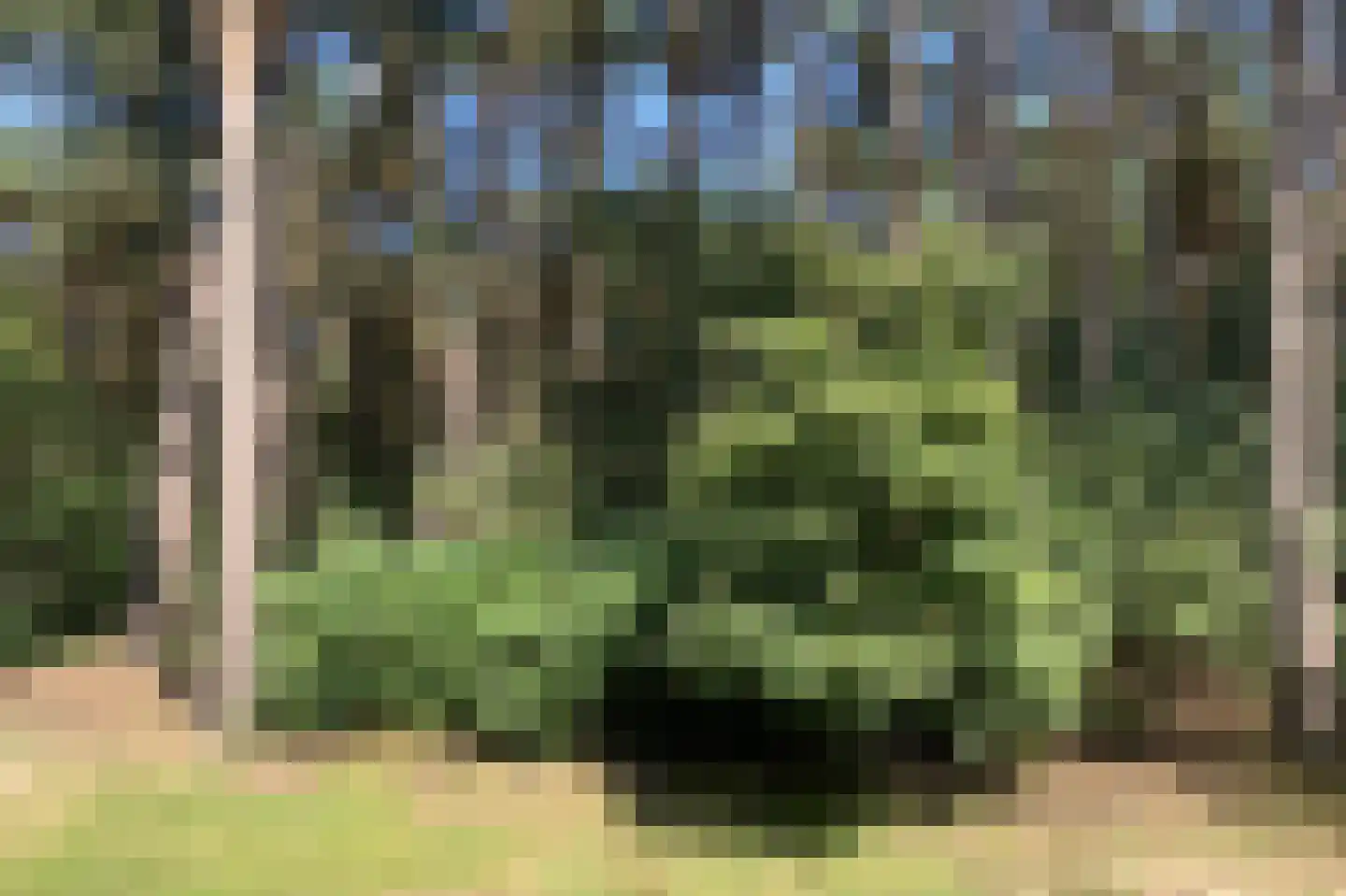 Tunnelweg 7 110 Haarle thumbnail 6