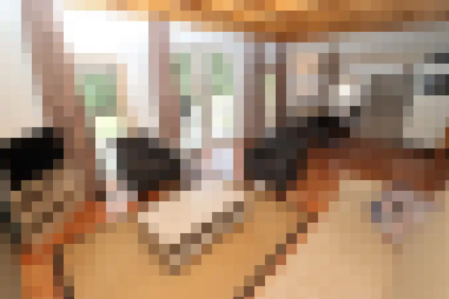 Tunnelweg 7 110 Haarle thumbnail 7