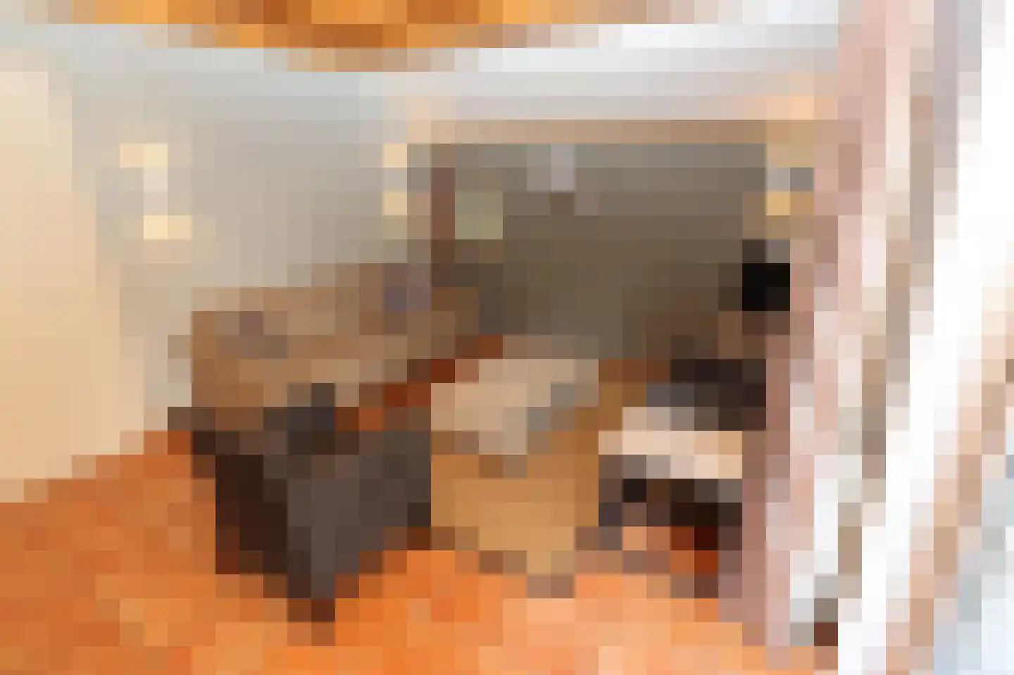 Tunnelweg 7 110 Haarle thumbnail 8