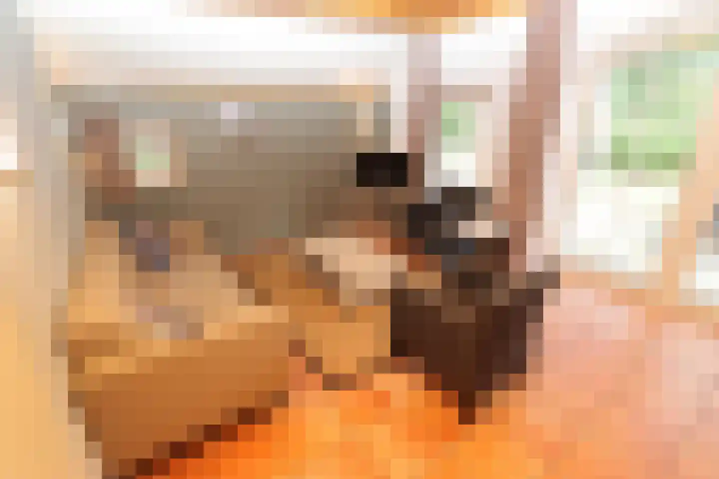 Tunnelweg 7 110 Haarle thumbnail 9