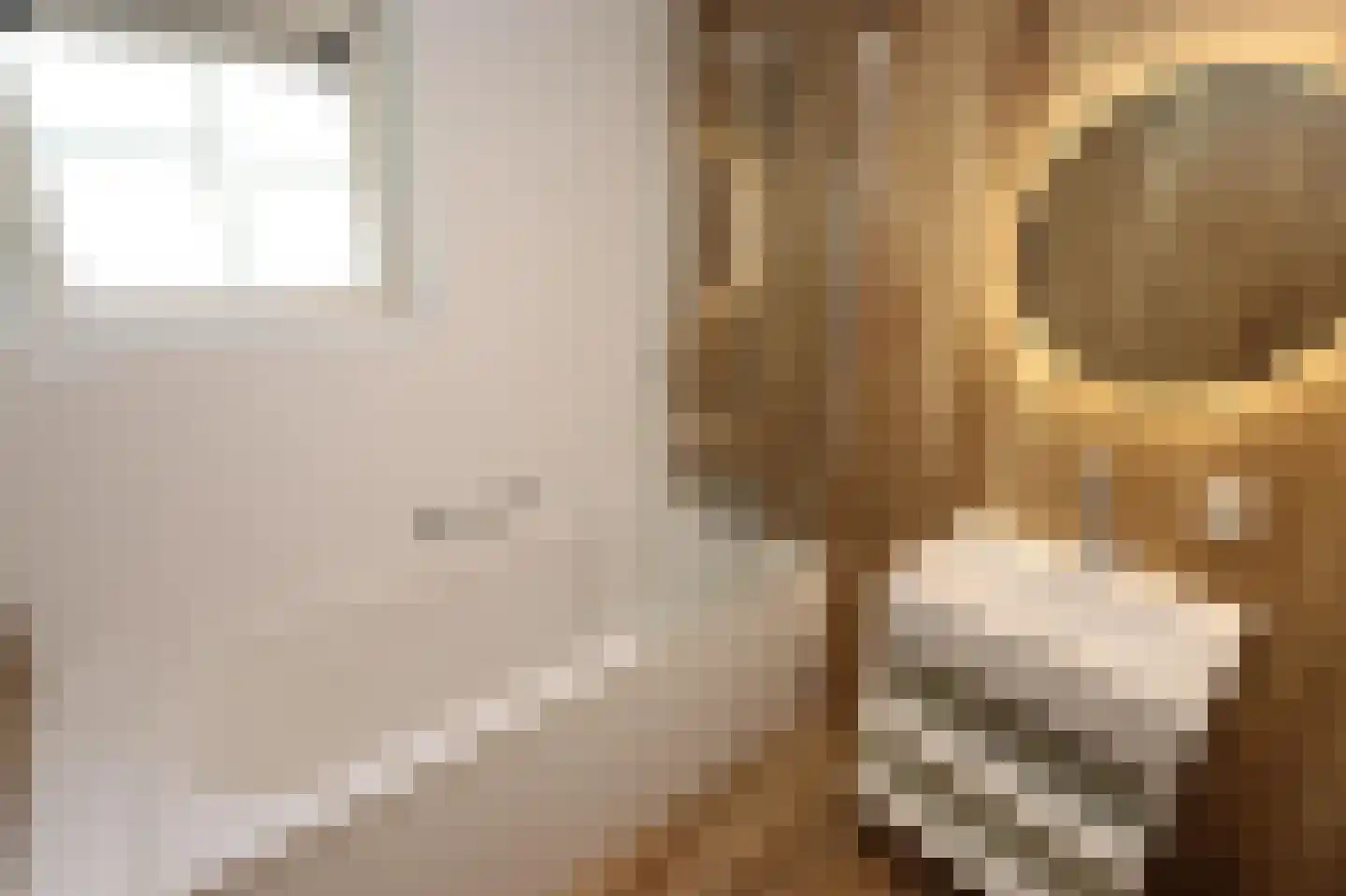 Tunnelweg 7 114 Haarle thumbnail 13
