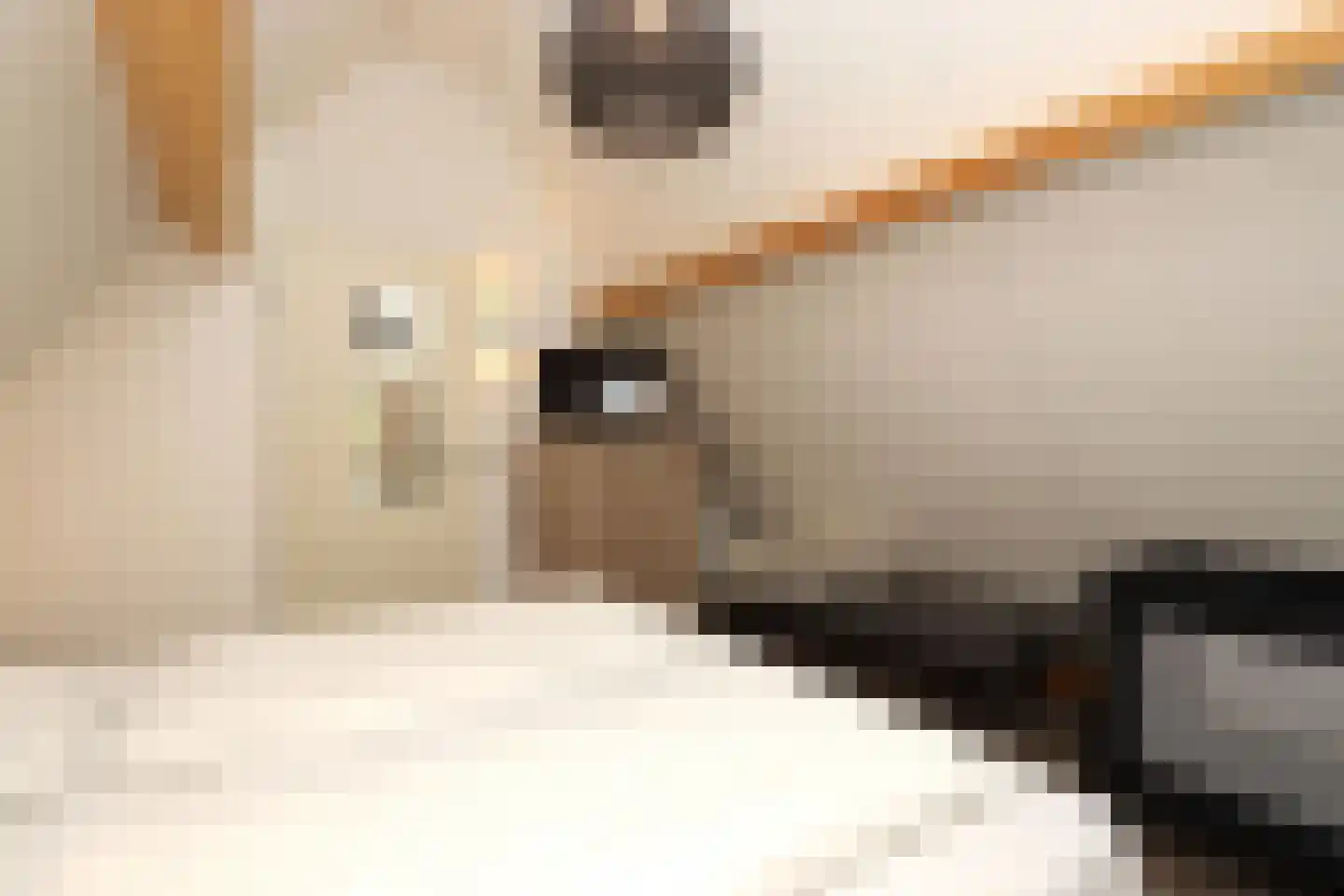 Tunnelweg 7 114 Haarle thumbnail 16