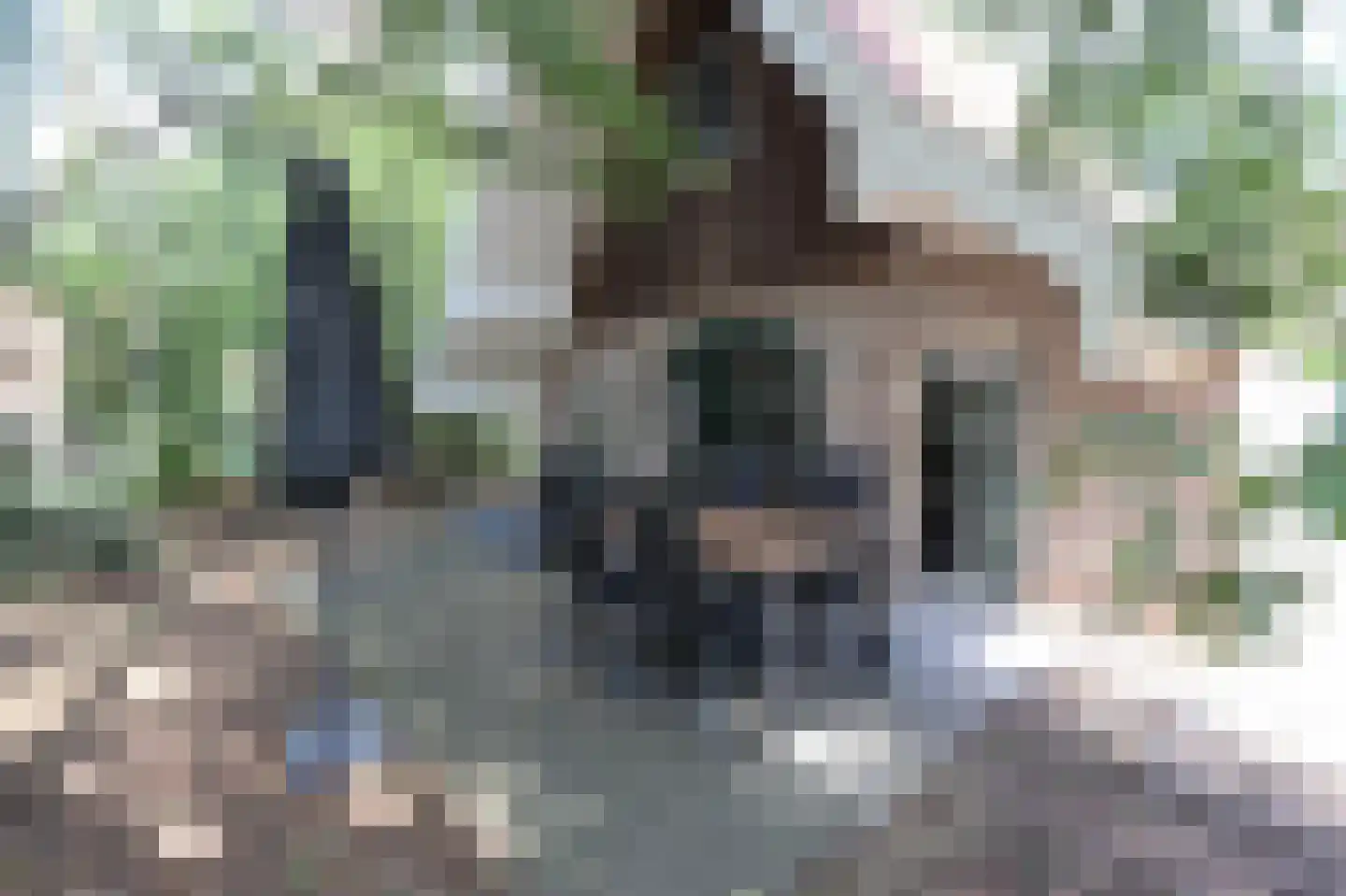 Tunnelweg 7 114 Haarle thumbnail 4
