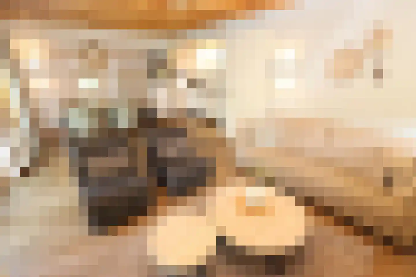 Tunnelweg 7 114 Haarle thumbnail 6