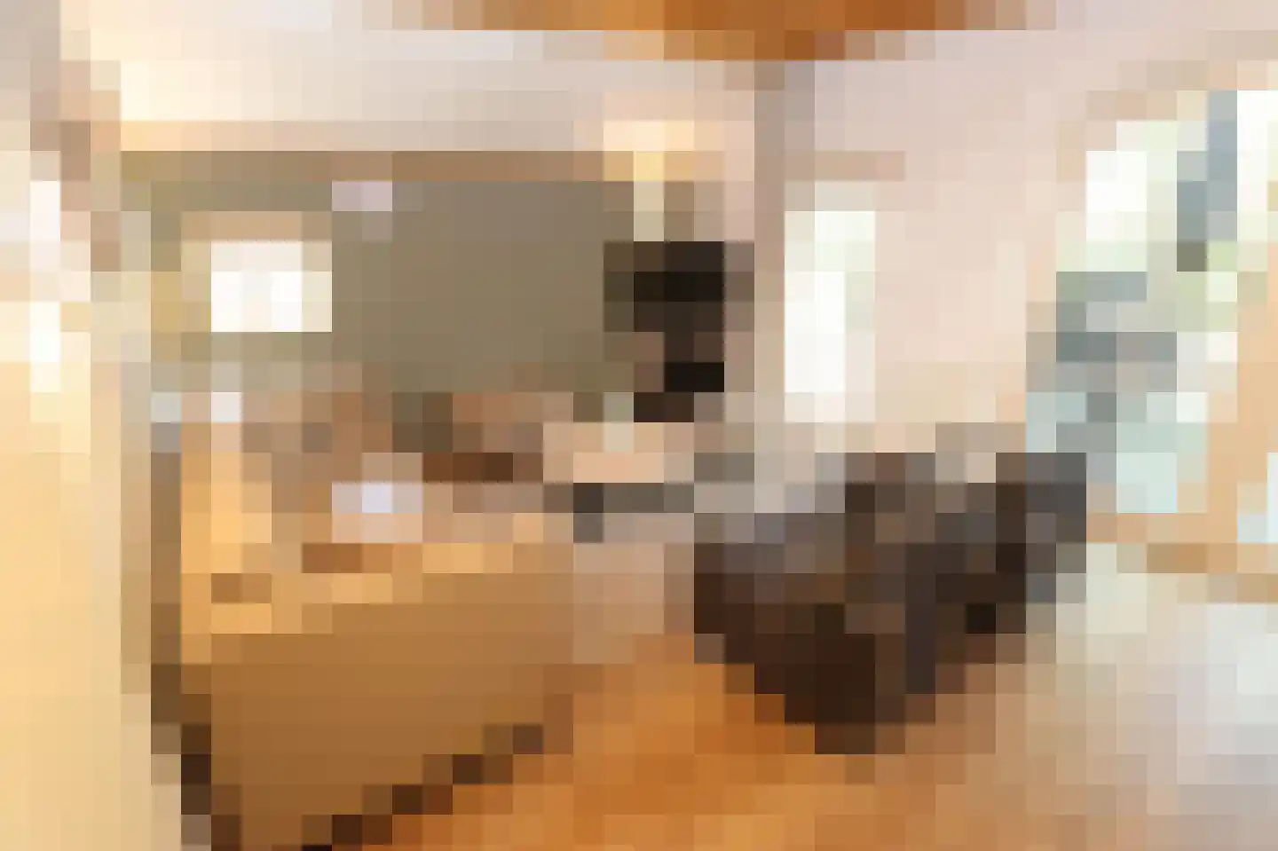 Tunnelweg 7 114 Haarle thumbnail 7