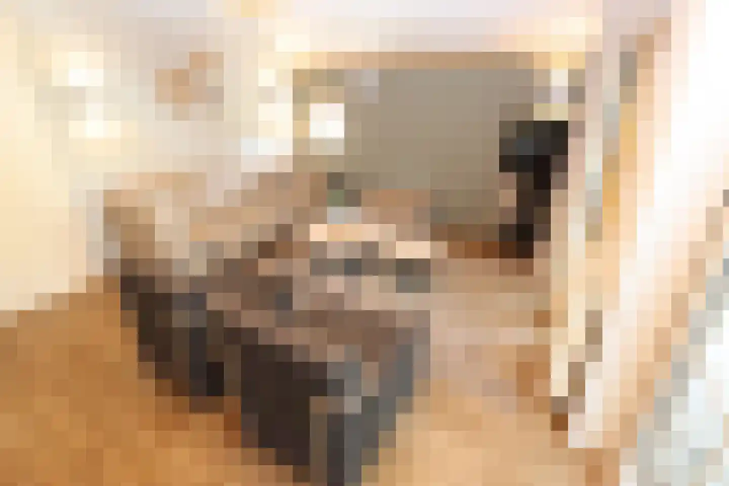 Tunnelweg 7 114 Haarle thumbnail 8