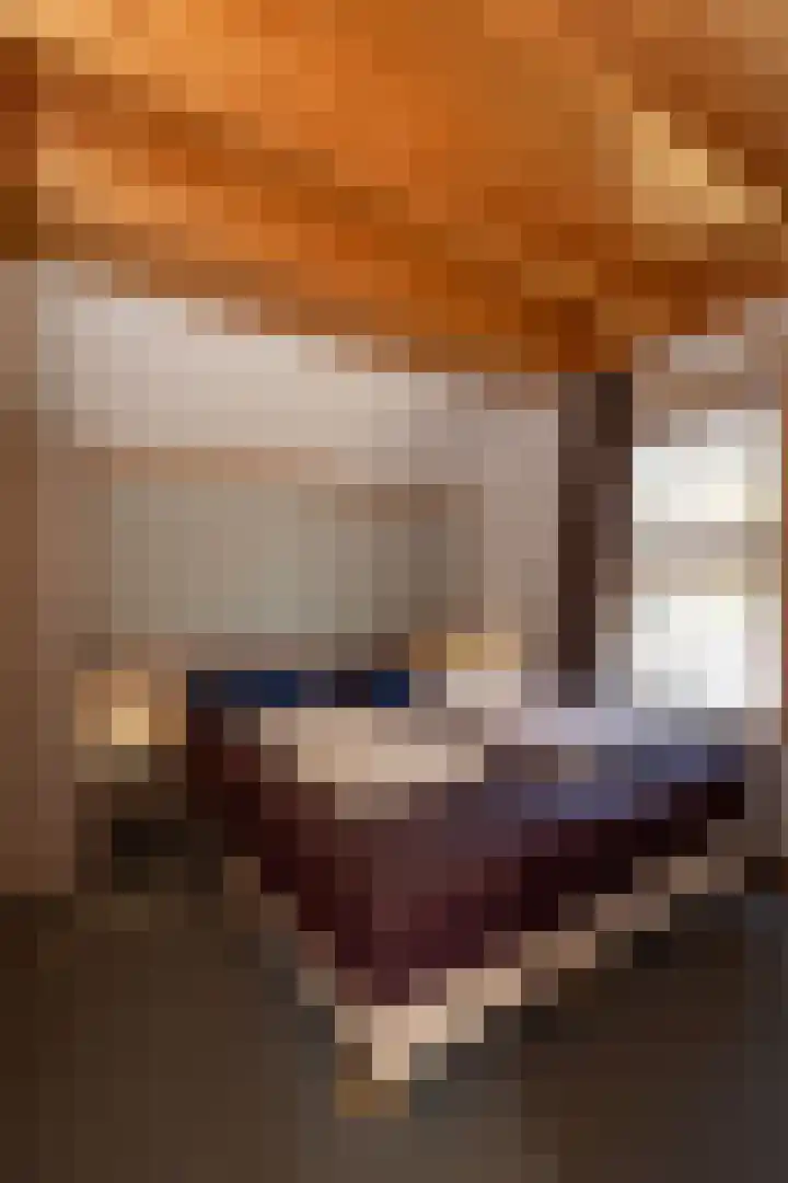 Tunnelweg 7 118 Haarle thumbnail 11