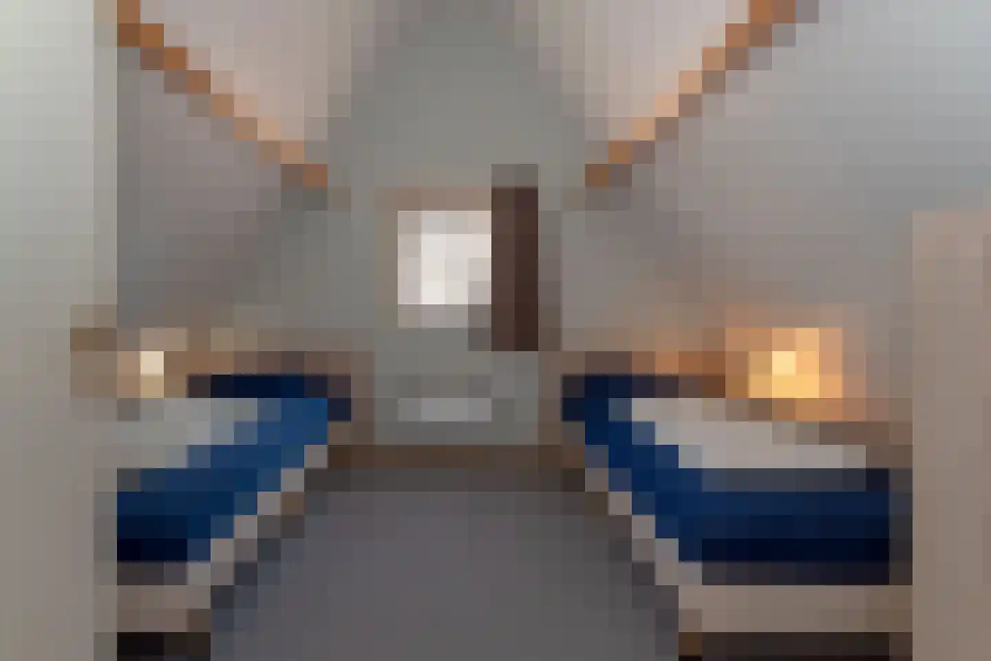 Tunnelweg 7 118 Haarle thumbnail 18
