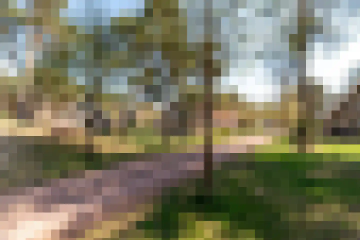 Tunnelweg 7 118 Haarle thumbnail 28