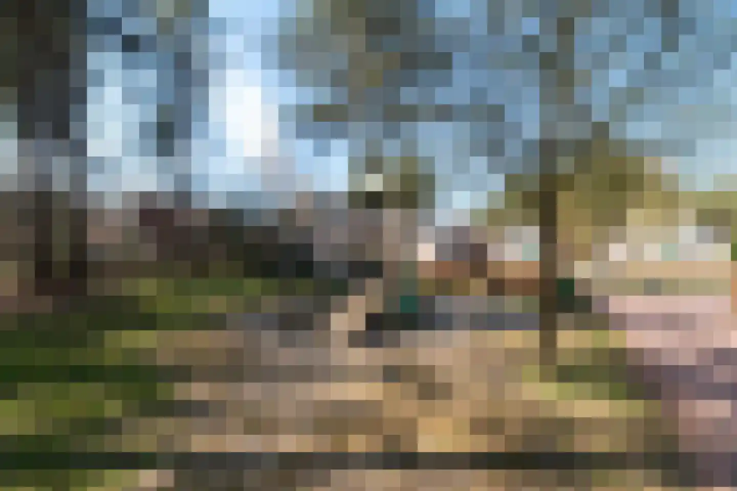 Tunnelweg 7 118 Haarle thumbnail 29