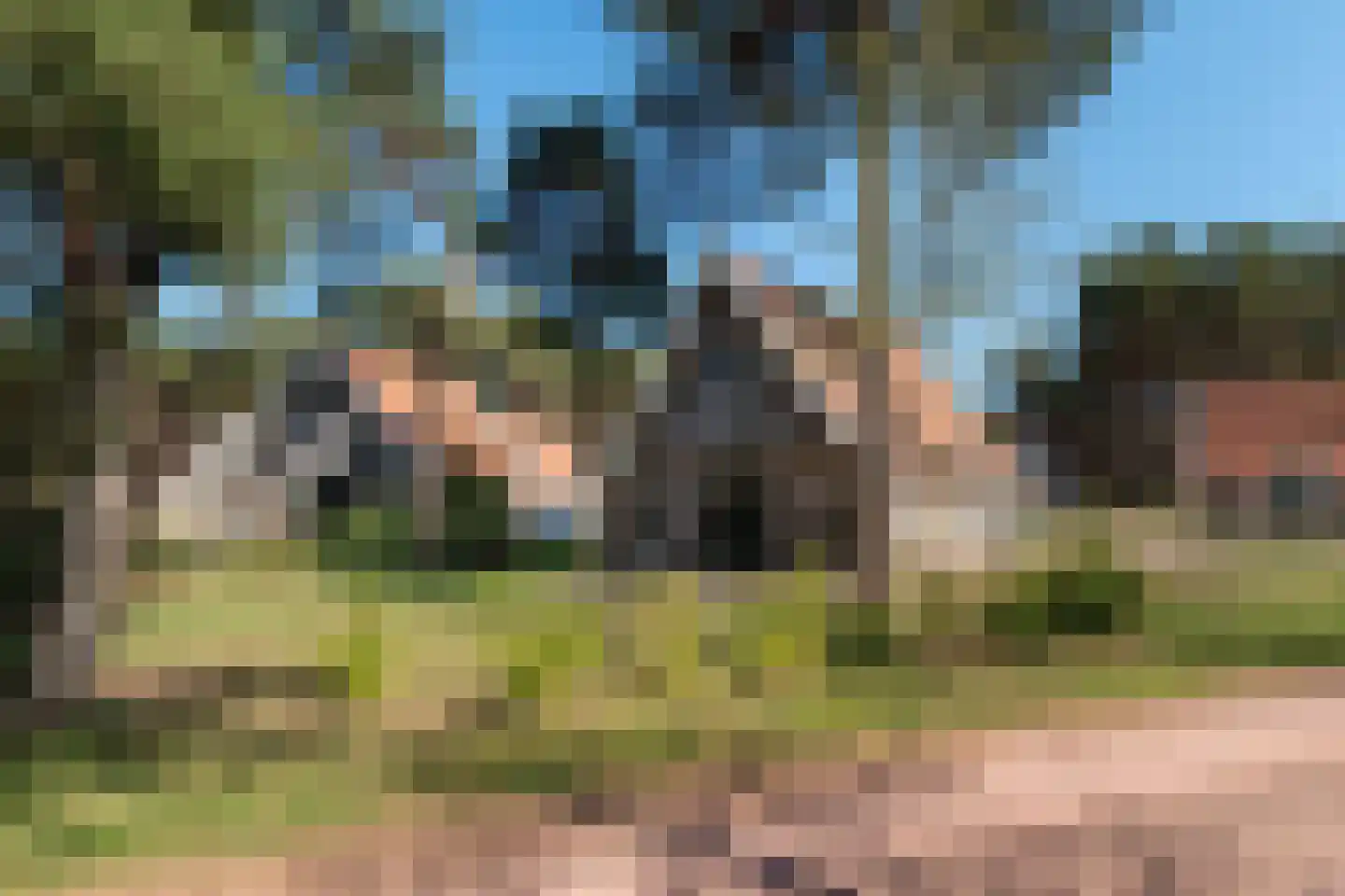 Tunnelweg 7 118 Haarle thumbnail 30