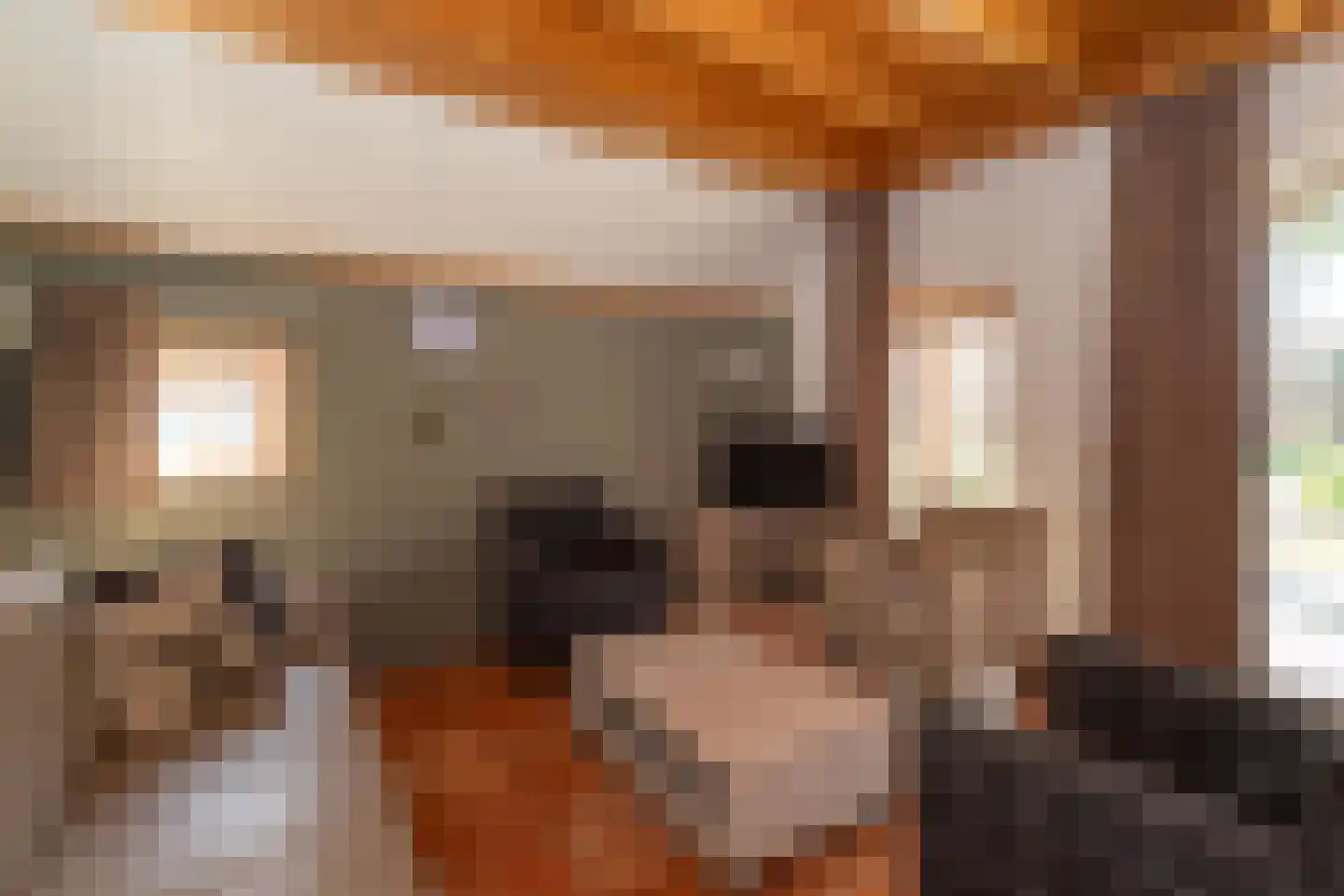 Tunnelweg 7 118 Haarle thumbnail 4