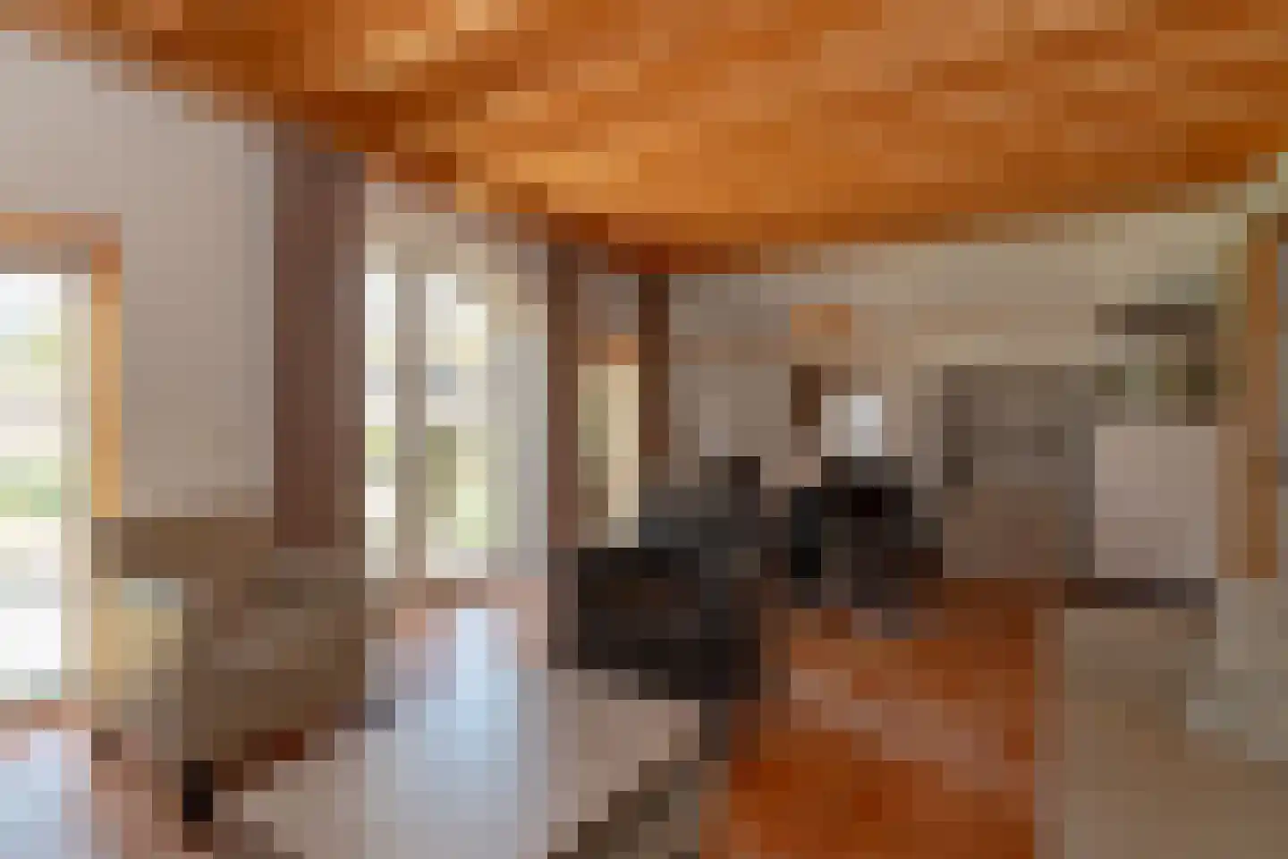 Tunnelweg 7 118 Haarle thumbnail 6