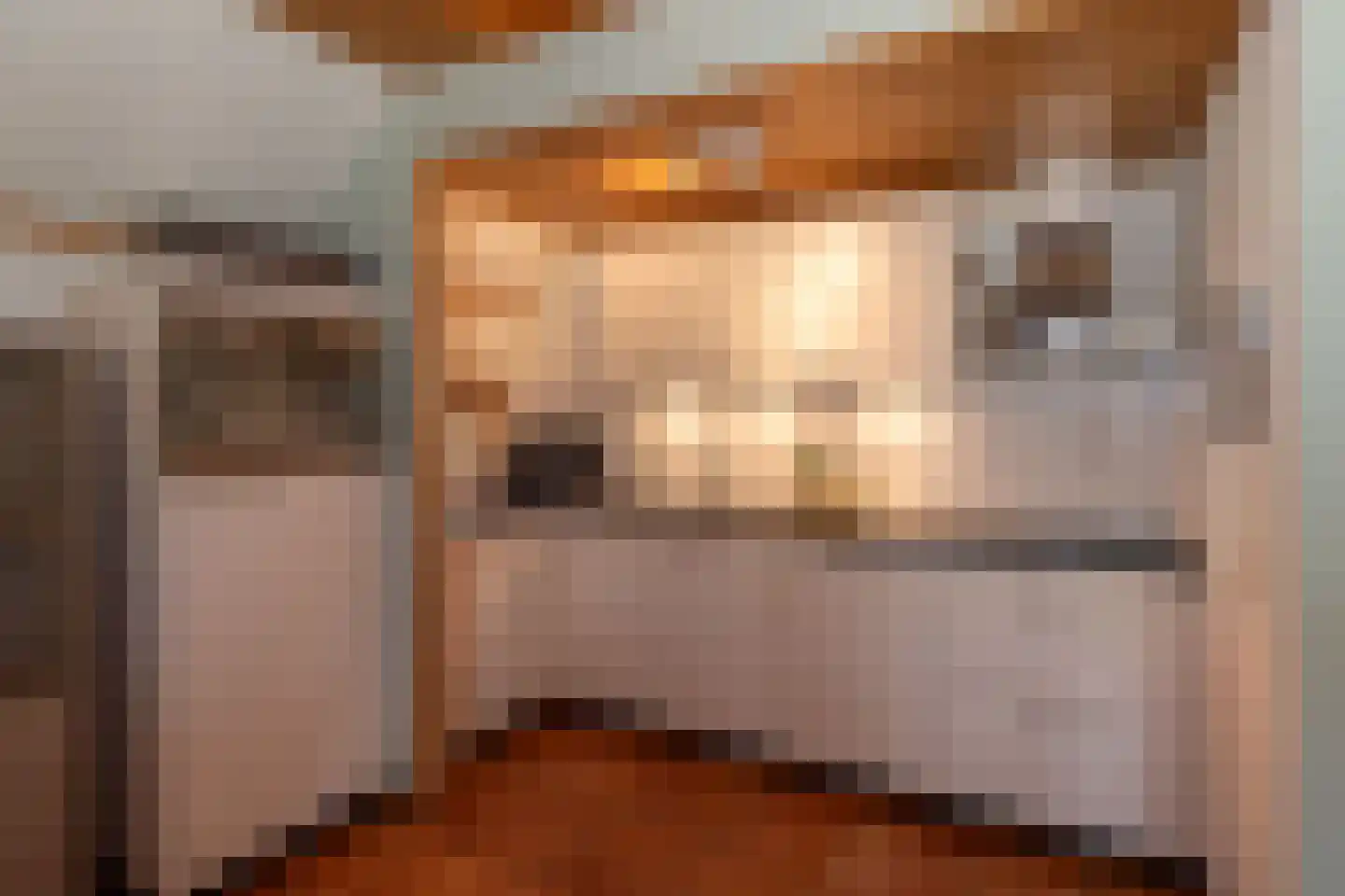 Tunnelweg 7 118 Haarle thumbnail 8