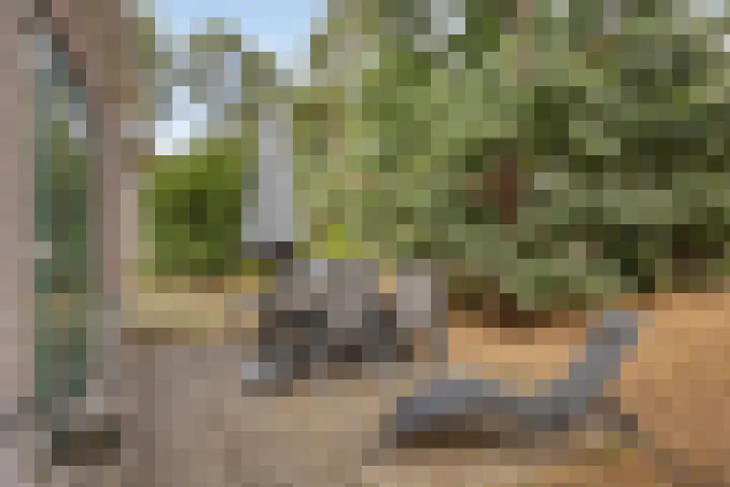 Tunnelweg 7 119 Haarle thumbnail 19