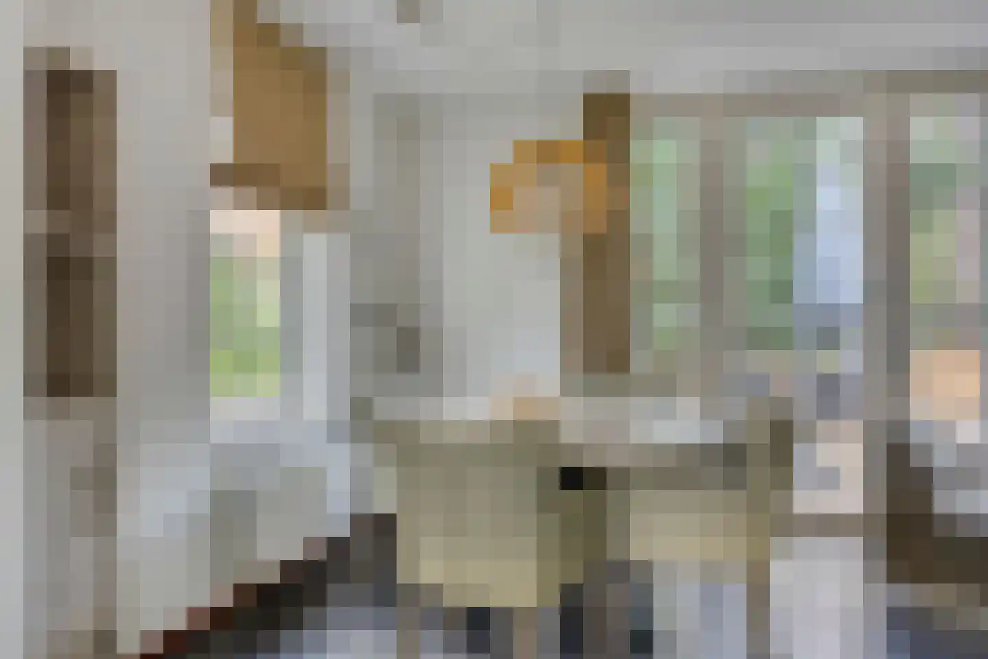 Tunnelweg 7 119 Haarle thumbnail 4