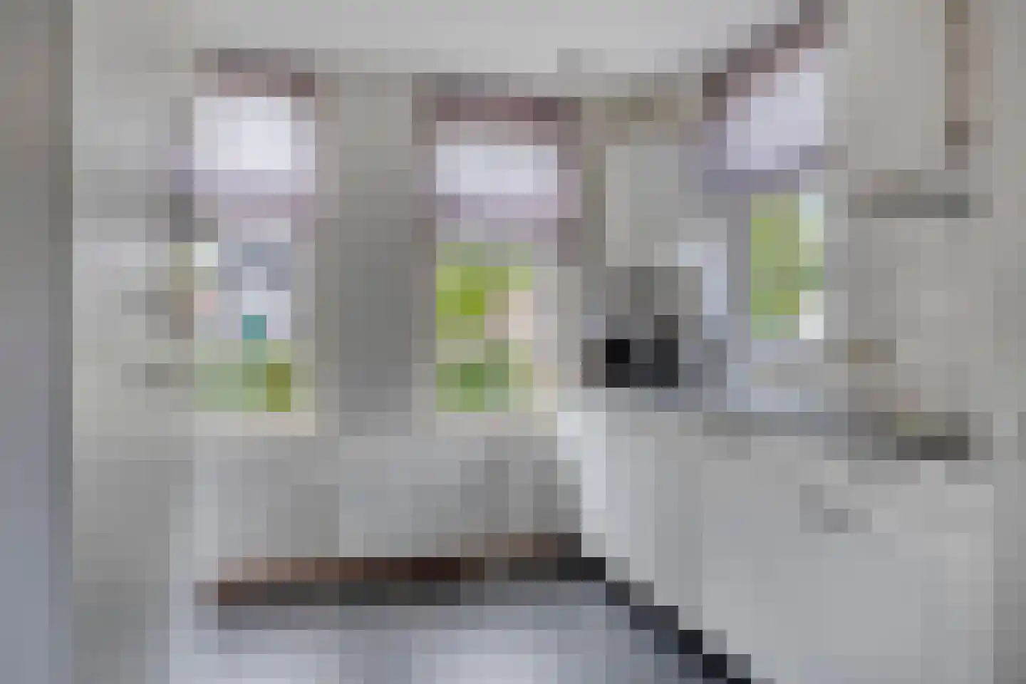 Tunnelweg 7 119 Haarle thumbnail 5