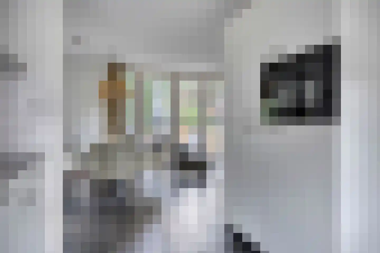 Tunnelweg 7 119 Haarle thumbnail 7