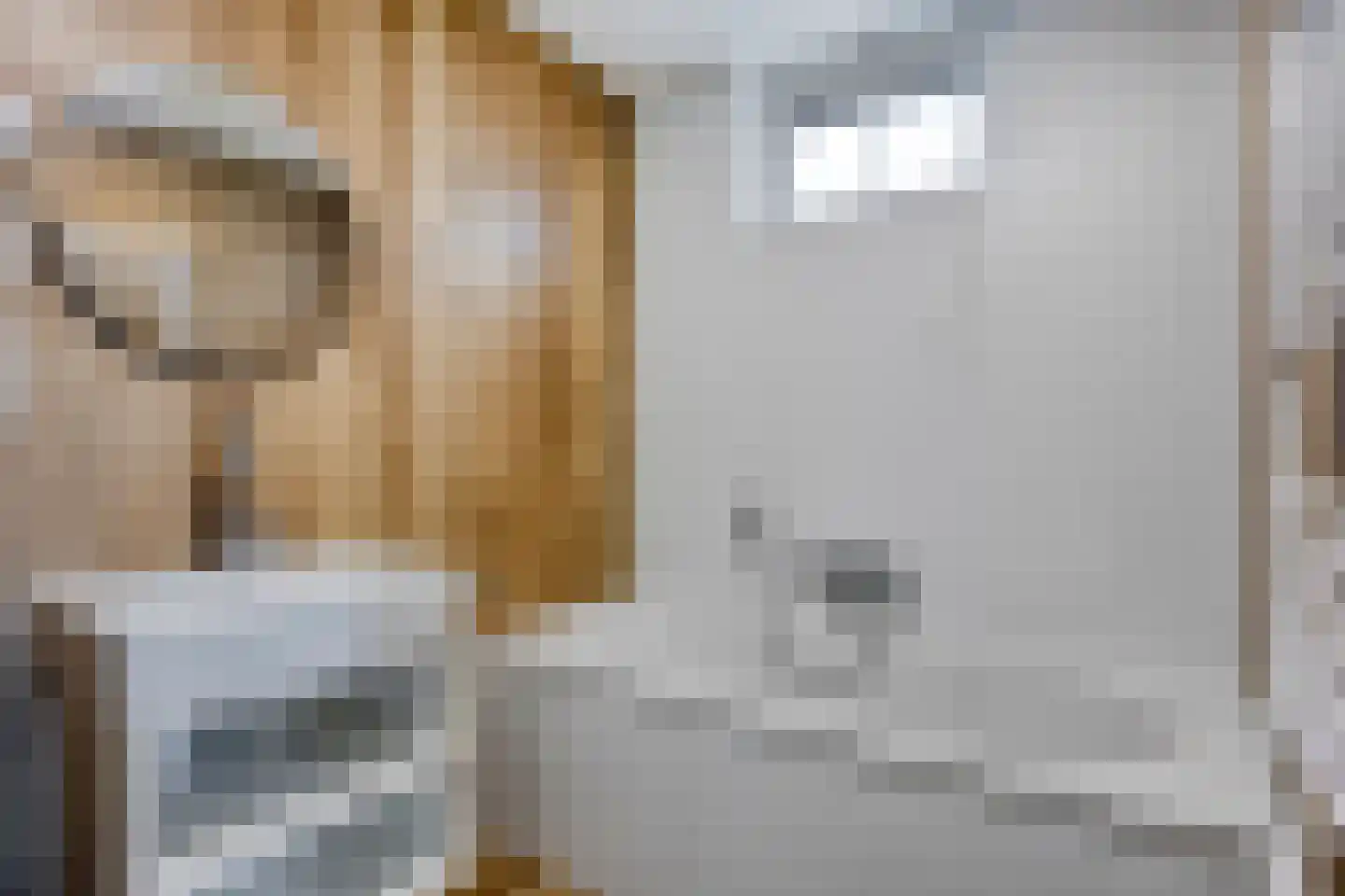 Tunnelweg 7 119 Haarle thumbnail 9