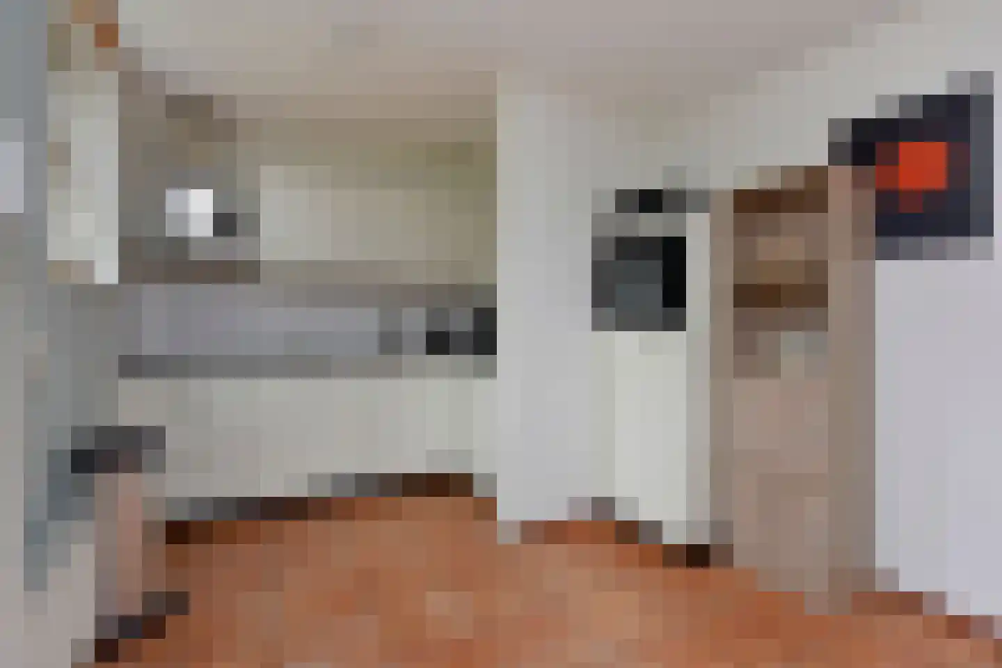 Tunnelweg 7 120 Haarle thumbnail 11