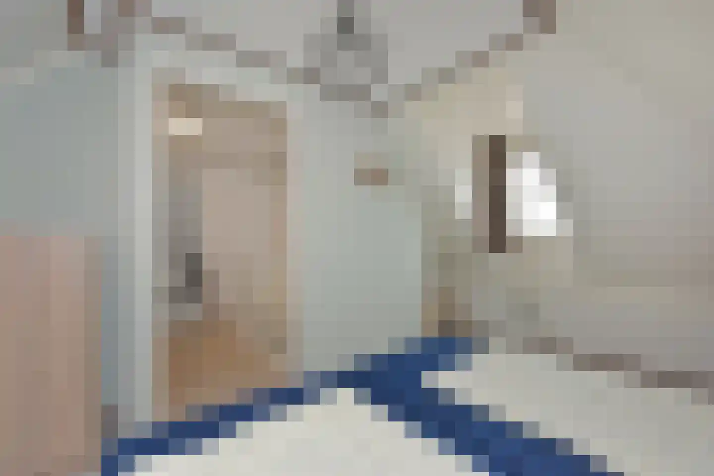 Tunnelweg 7 120 Haarle thumbnail 24