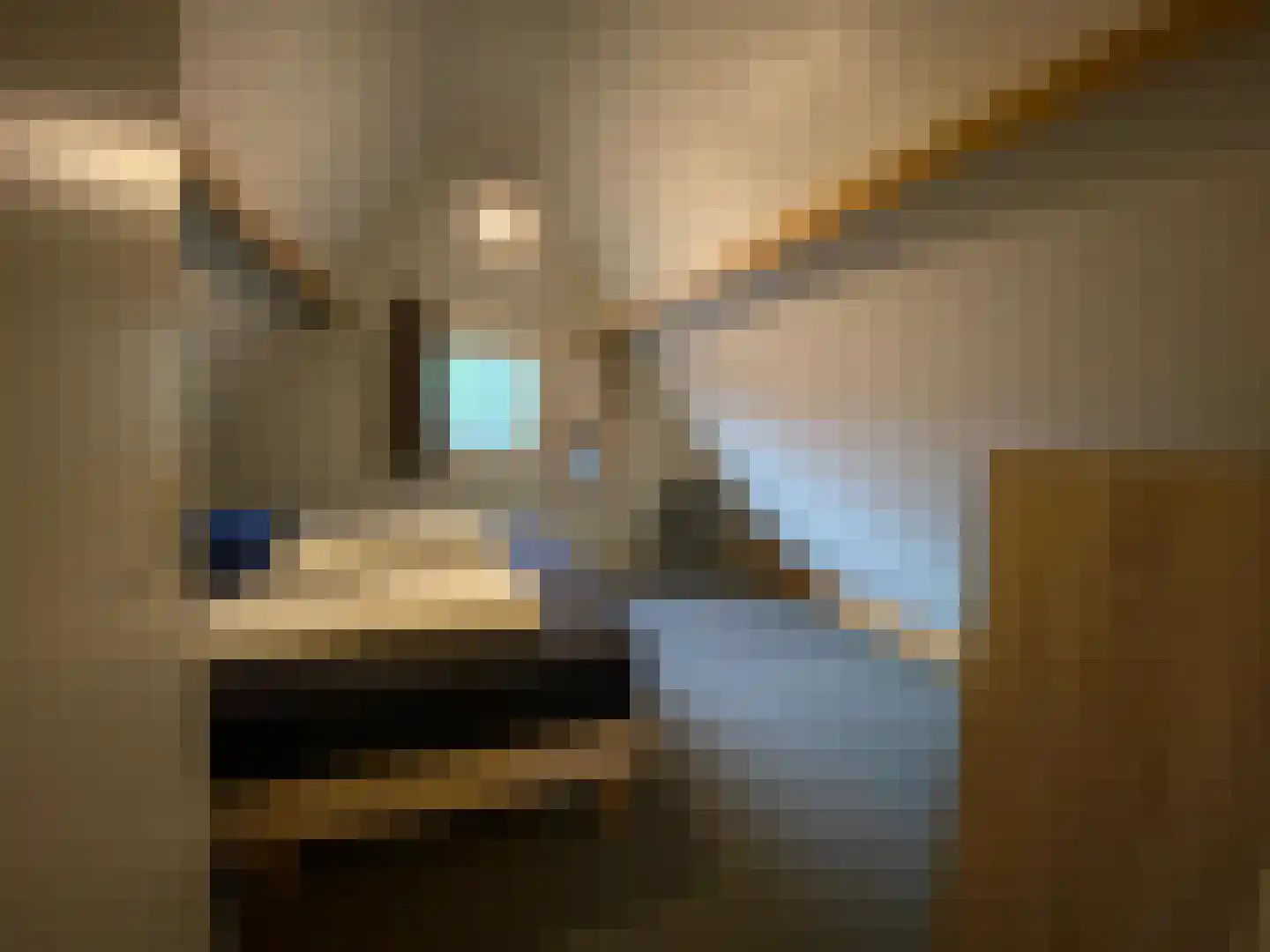 Tunnelweg 7 129 Haarle thumbnail 10