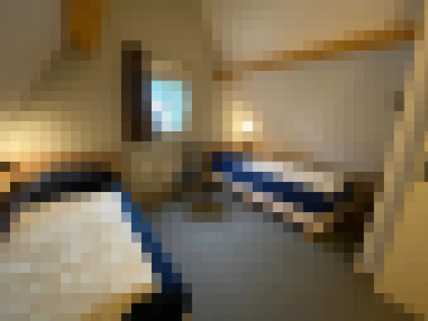 Tunnelweg 7 129 Haarle thumbnail 14