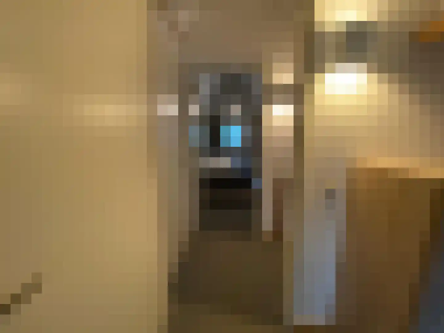 Tunnelweg 7 129 Haarle thumbnail 17