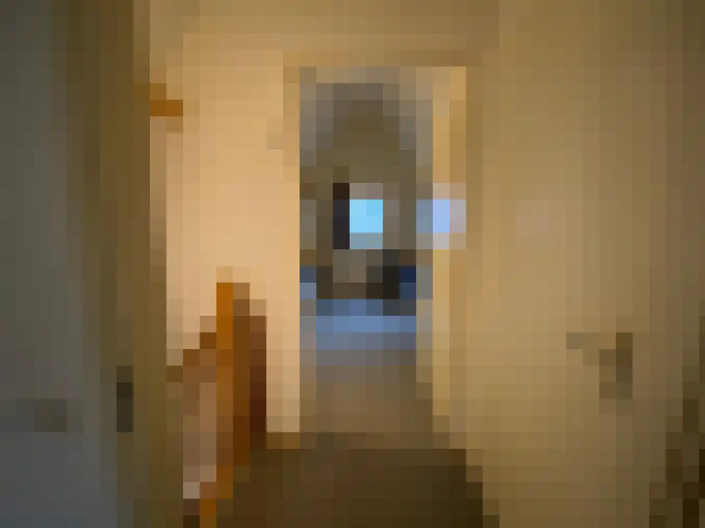 Tunnelweg 7 129 Haarle thumbnail 18