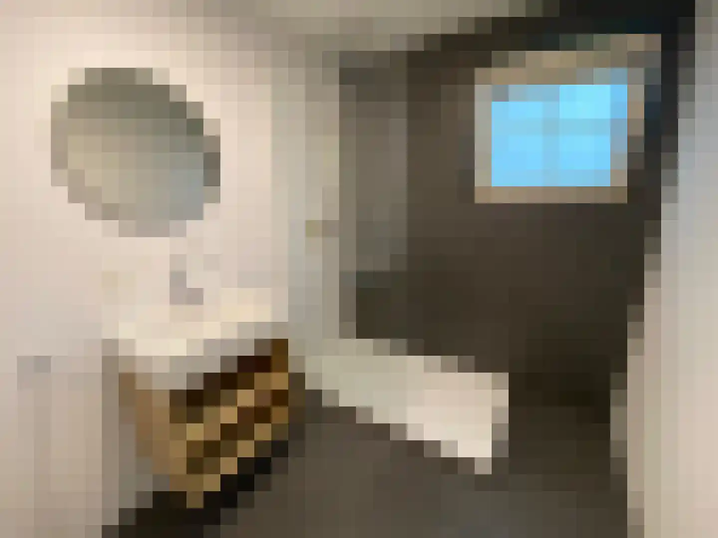 Tunnelweg 7 129 Haarle thumbnail 20