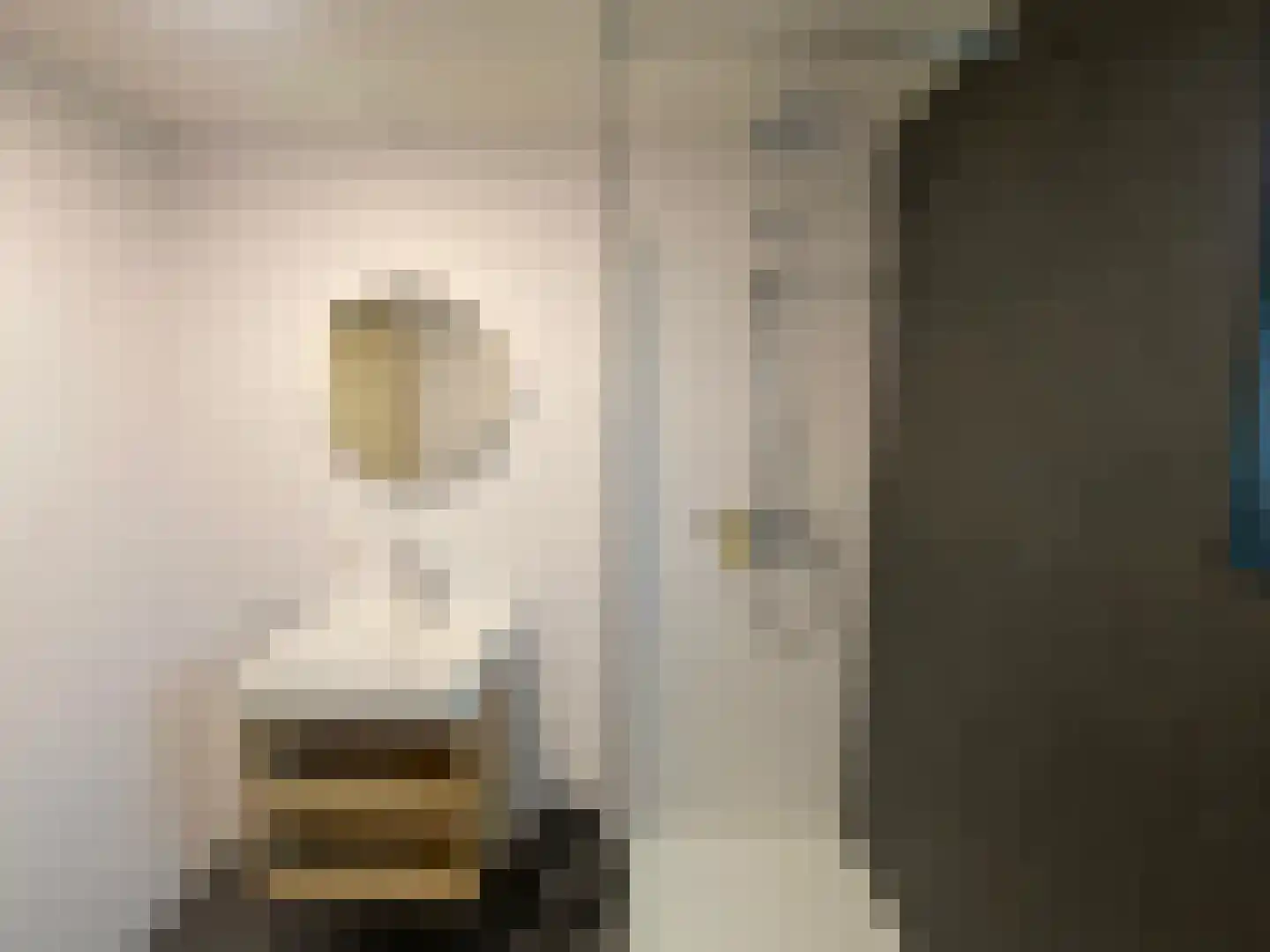 Tunnelweg 7 129 Haarle thumbnail 21