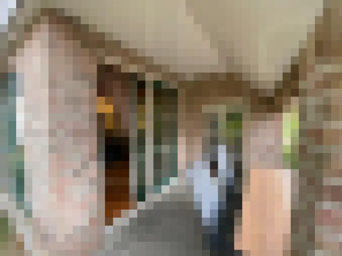 Tunnelweg 7 129 Haarle thumbnail 26