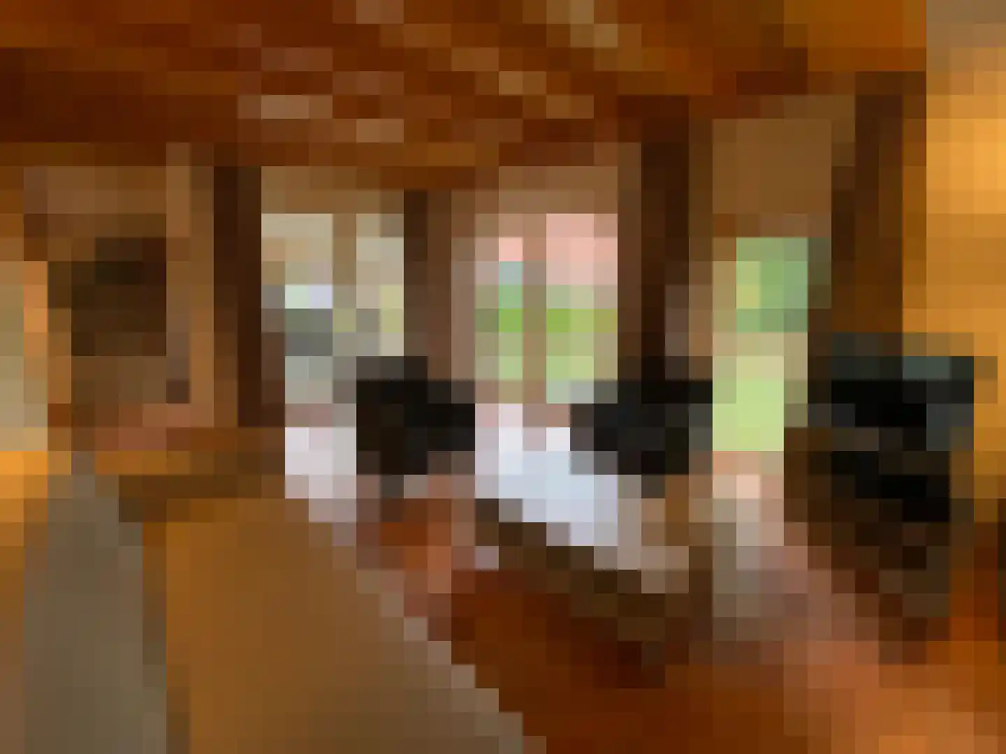 Tunnelweg 7 129 Haarle thumbnail 5