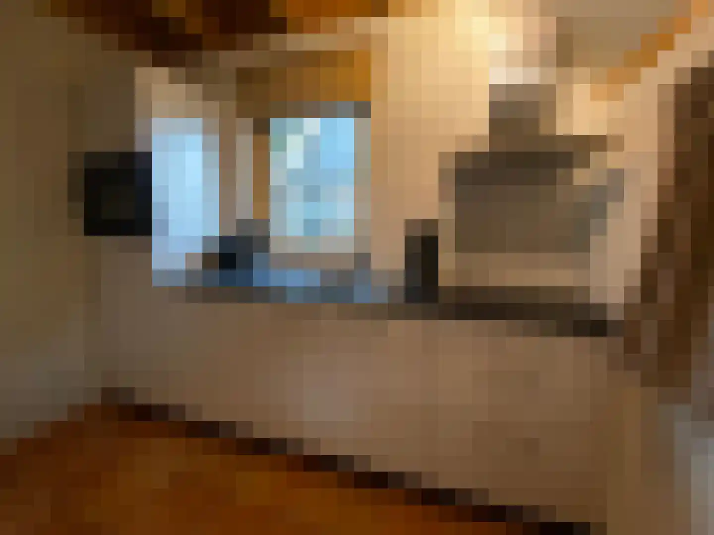 Tunnelweg 7 129 Haarle thumbnail 6