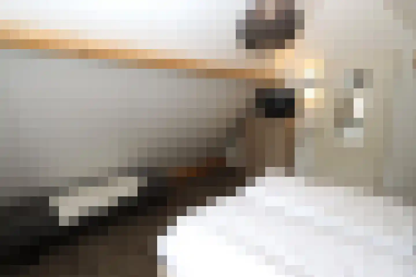 Tunnelweg 7 148 Haarle thumbnail 17