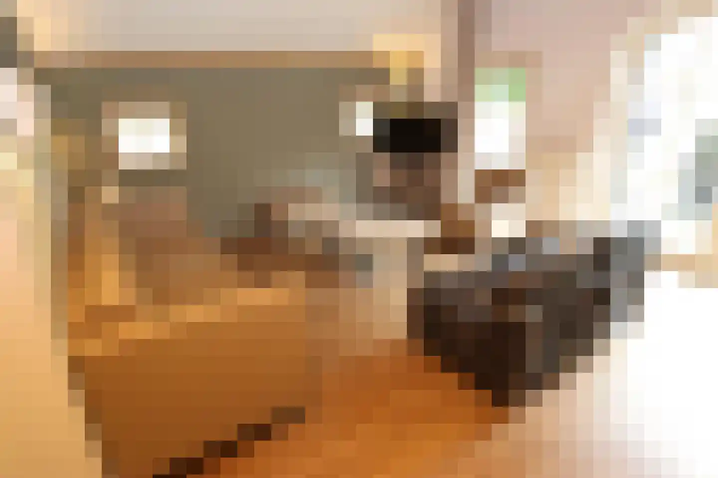 Tunnelweg 7 148 Haarle thumbnail 6
