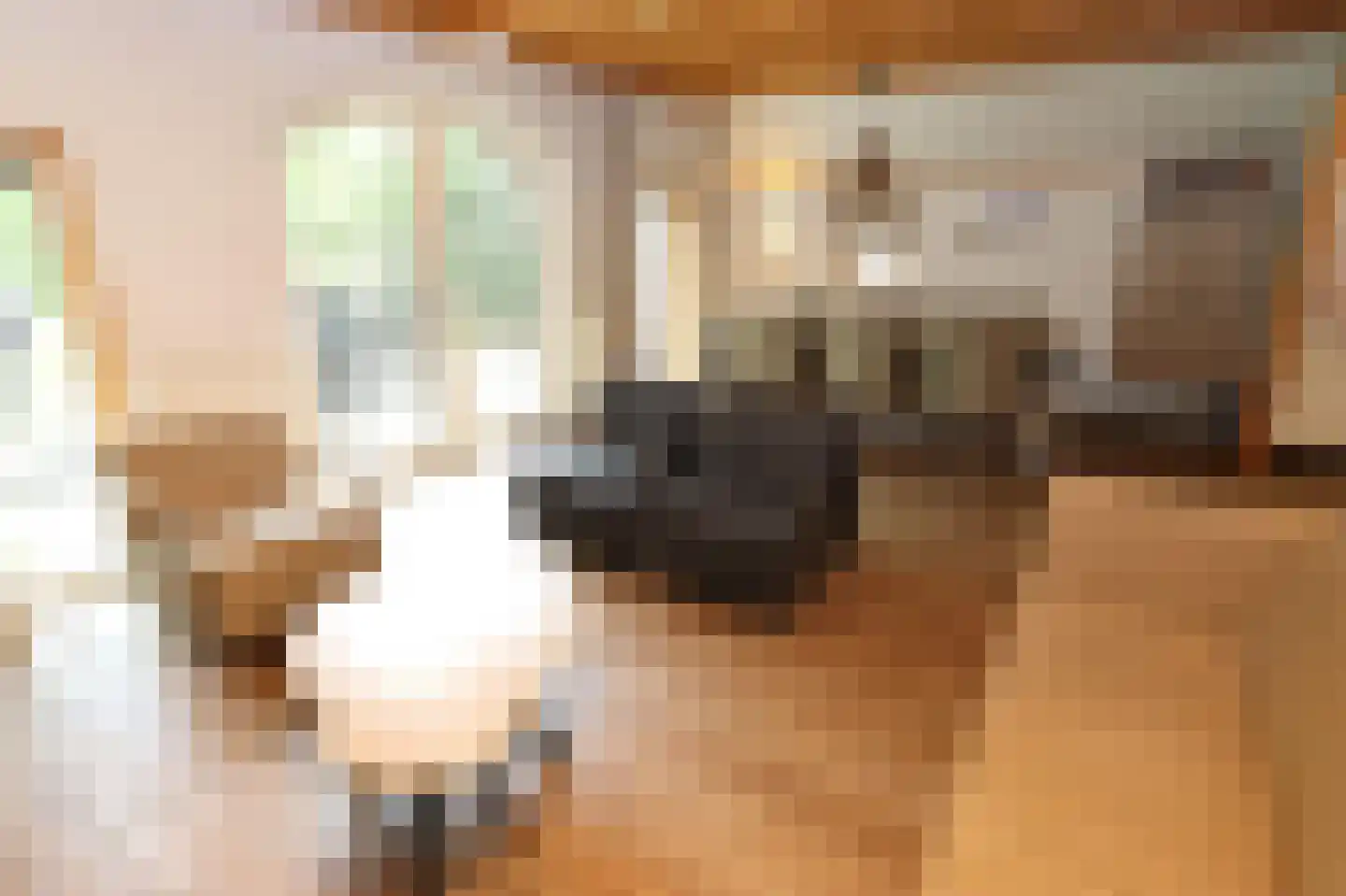 Tunnelweg 7 148 Haarle thumbnail 7