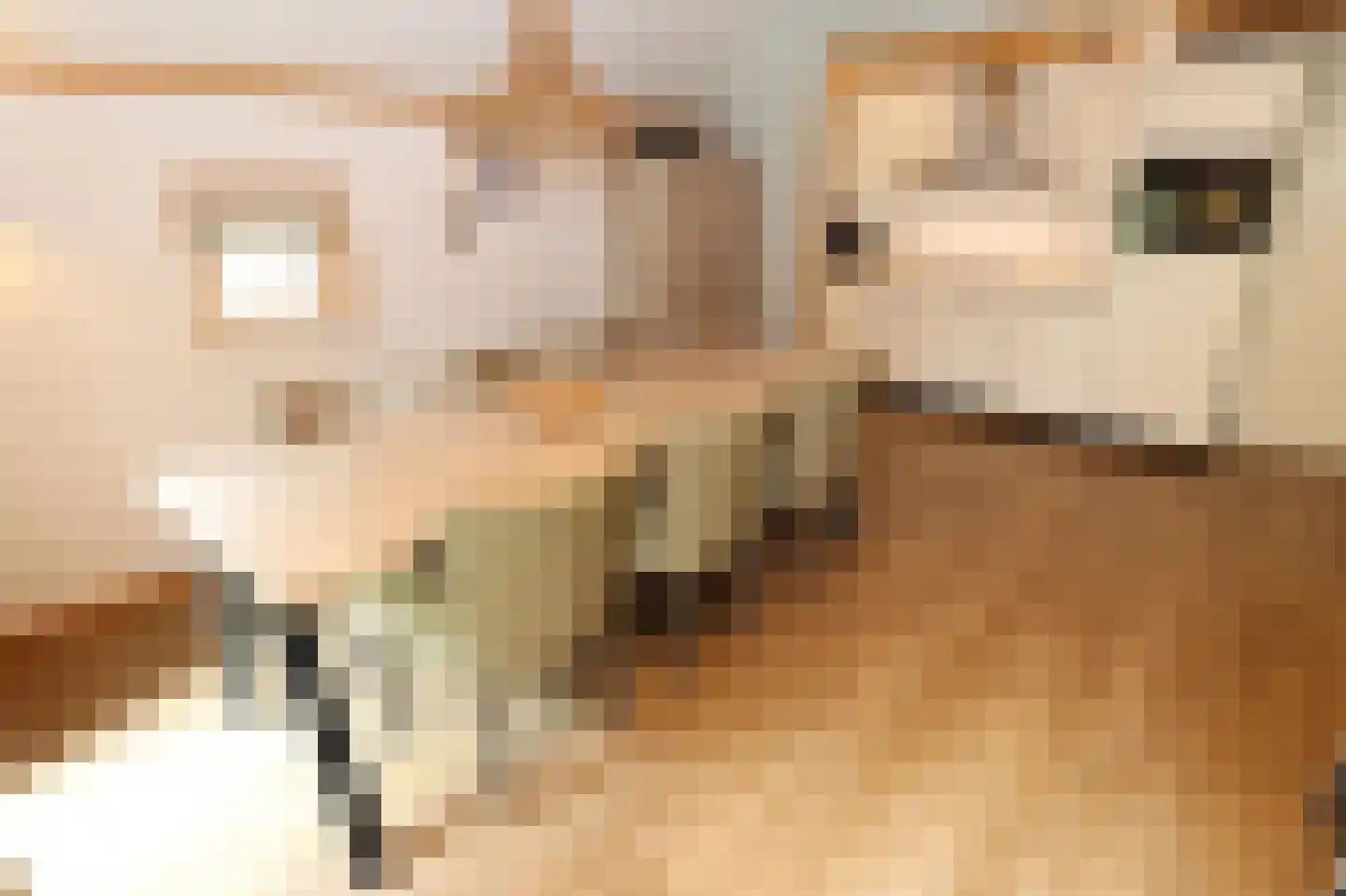 Tunnelweg 7 148 Haarle thumbnail 9
