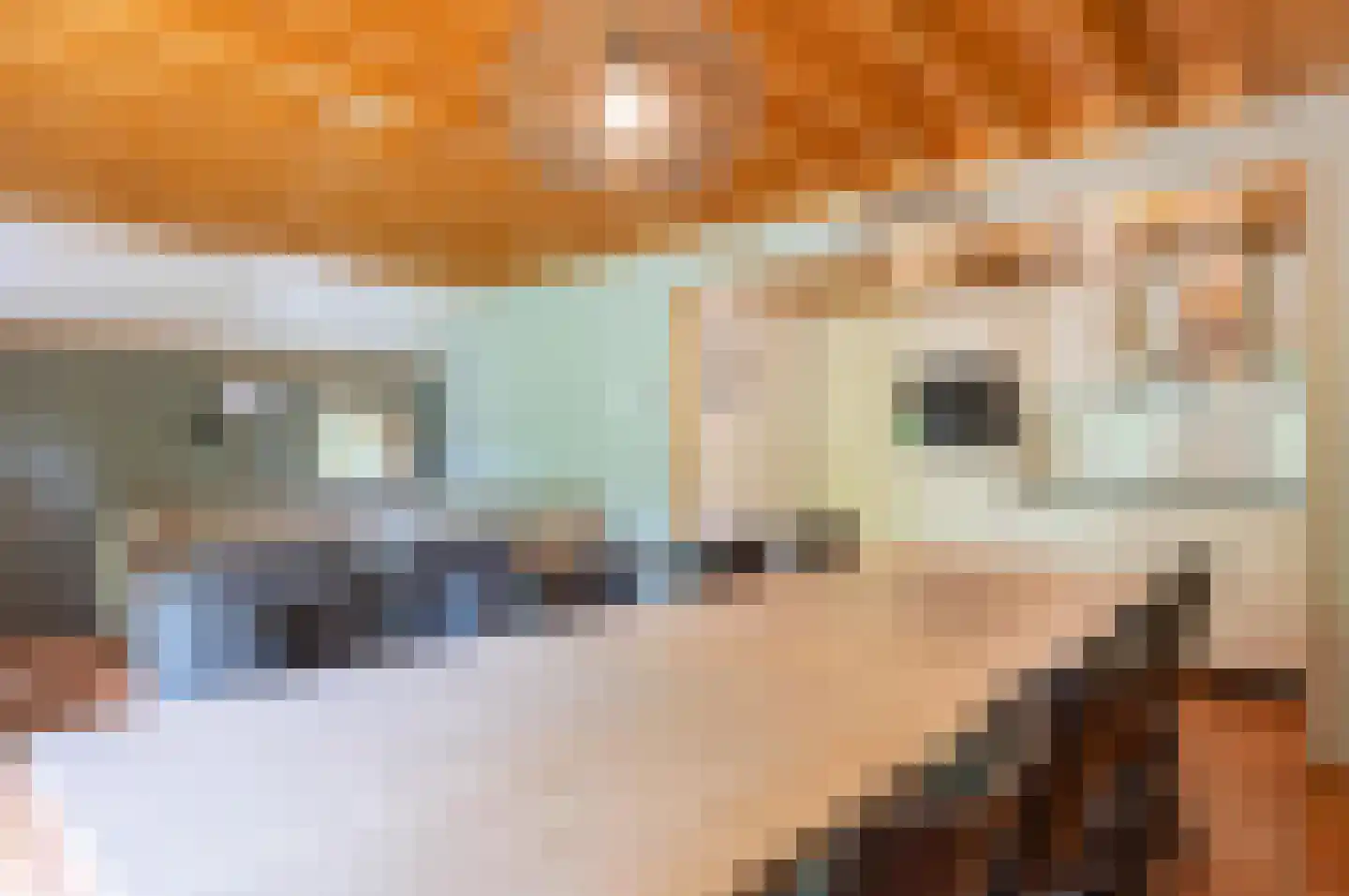Tunnelweg 7 153 Haarle thumbnail 11