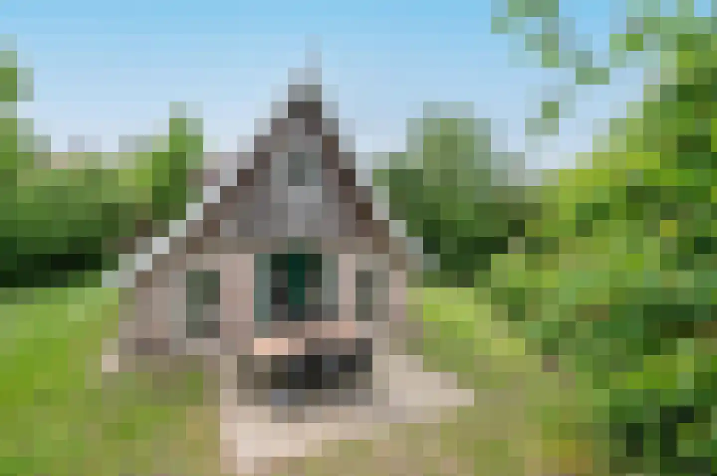 Tunnelweg 7 153 Haarle thumbnail 32