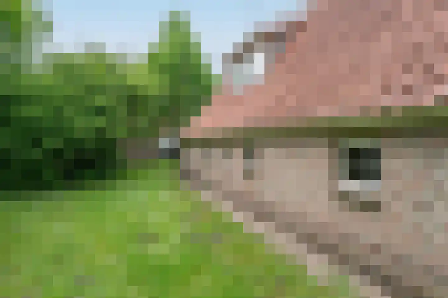 Tunnelweg 7 153 Haarle thumbnail 35