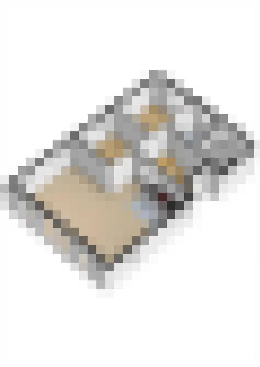 Tunnelweg 7 153 Haarle thumbnail 38