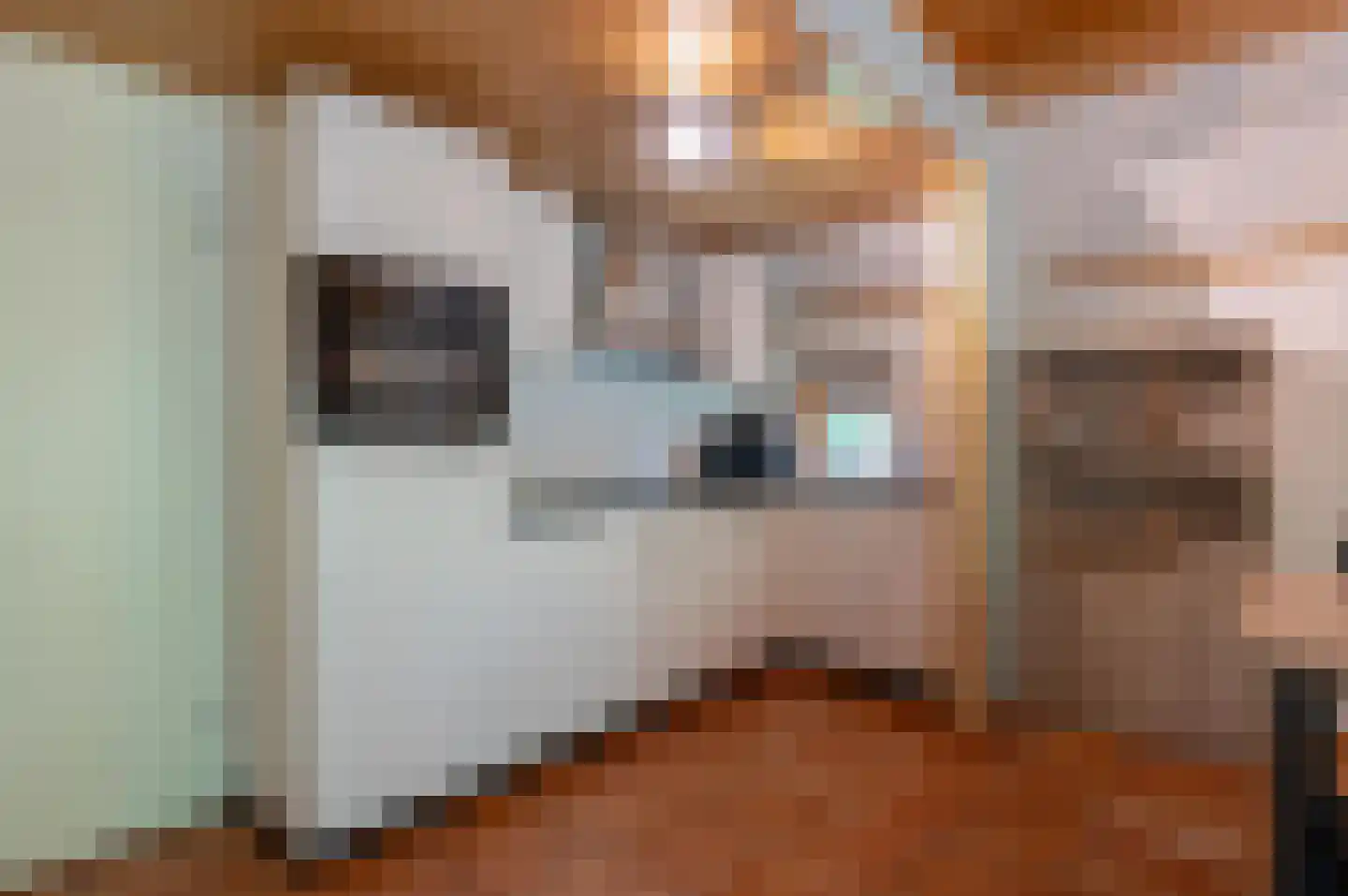 Tunnelweg 7 153 Haarle thumbnail 9